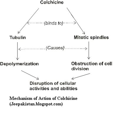 colcj|Colchicine: Dosage, Mechanism/Onset of Action, Half.